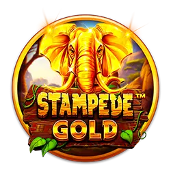 jili tongits go how to use free bet on 1xbet